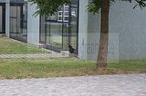 bauhaus-dessau-23