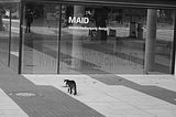 bauhaus-dessau-02