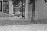 bauhaus-dessau-23