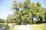 burg_saaleck_rudelsburg_bad_sulza_010