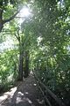 burg_saaleck_rudelsburg_bad_sulza_038