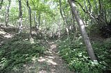 burg_saaleck_rudelsburg_bad_sulza_050