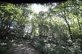 burg_saaleck_rudelsburg_bad_sulza_051