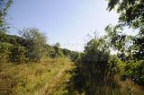 burg_saaleck_rudelsburg_bad_sulza_052