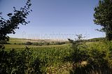 burg_saaleck_rudelsburg_bad_sulza_054