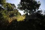 burg_saaleck_rudelsburg_bad_sulza_055