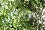 burg_saaleck_rudelsburg_bad_sulza_113