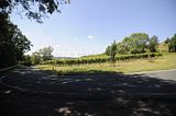 burg_saaleck_rudelsburg_bad_sulza_135