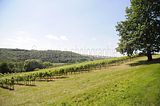 burg_saaleck_rudelsburg_bad_sulza_136