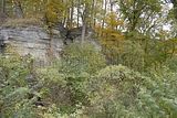 burgruine-liebenstein-41