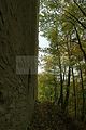 burgruine-liebenstein-67