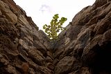 drei-gleichen-burg_gleichen-033