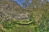 drei_gleichen_05_2017_hdr_003