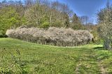 drei_gleichen_05_2017_hdr_004