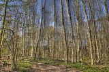drei_gleichen_05_2017_hdr_006