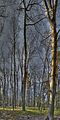 drei_gleichen_05_2017_hdr_007