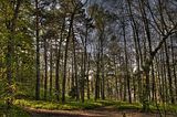 drei_gleichen_05_2017_hdr_008