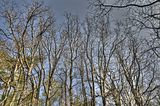 drei_gleichen_05_2017_hdr_025