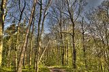 drei_gleichen_05_2017_hdr_027