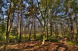 drei_gleichen_05_2017_hdr_028