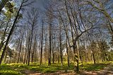 drei_gleichen_05_2017_hdr_029