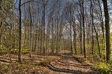 drei_gleichen_05_2017_hdr_030