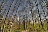 drei_gleichen_05_2017_hdr_031