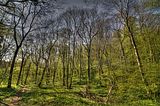 drei_gleichen_05_2017_hdr_032