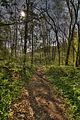 drei_gleichen_05_2017_hdr_033