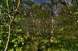 drei_gleichen_05_2017_hdr_039
