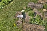 drei_gleichen_05_2017_hdr_055