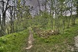 drei_gleichen_05_2017_hdr_197