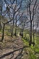 drei_gleichen_05_2017_hdr_218