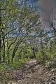 drei_gleichen_05_2017_hdr_220