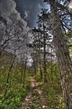 drei_gleichen_05_2017_hdr_221