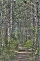 drei_gleichen_05_2017_hdr_245