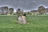 drei_gleichen_05_2017_hdr_253