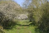 drei_gleichen_05_2017_orig_003