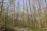 drei_gleichen_05_2017_orig_006