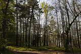 drei_gleichen_05_2017_orig_008