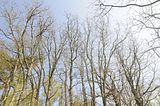 drei_gleichen_05_2017_orig_025