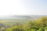 drei_gleichen_05_2017_orig_026