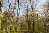 drei_gleichen_05_2017_orig_027