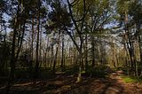 drei_gleichen_05_2017_orig_028