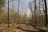 drei_gleichen_05_2017_orig_030