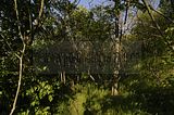drei_gleichen_05_2017_orig_039
