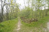 drei_gleichen_05_2017_orig_195