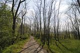 drei_gleichen_05_2017_orig_212