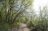 drei_gleichen_05_2017_orig_217