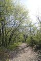 drei_gleichen_05_2017_orig_218